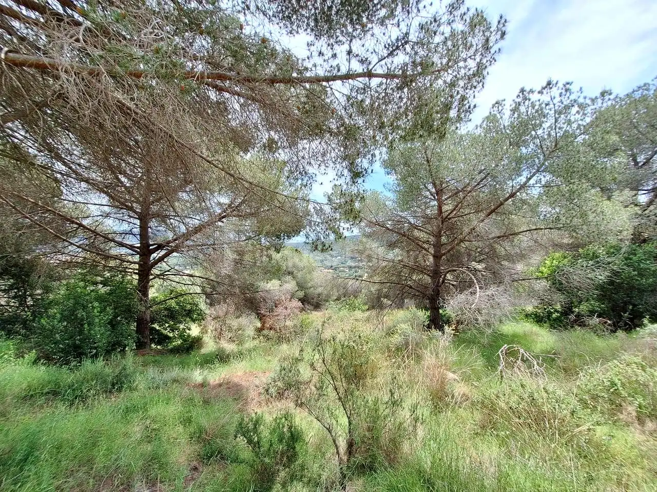 Lands and plots for sale in Nucli Urbà, imagen 5