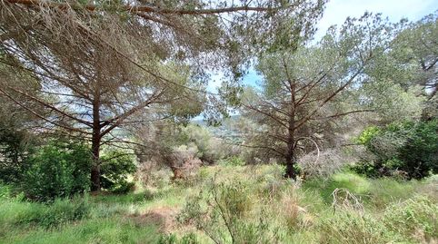 Terreno forestal en venta en Argentona  13.597 m de naturaleza y tranquilidad, imatge 5