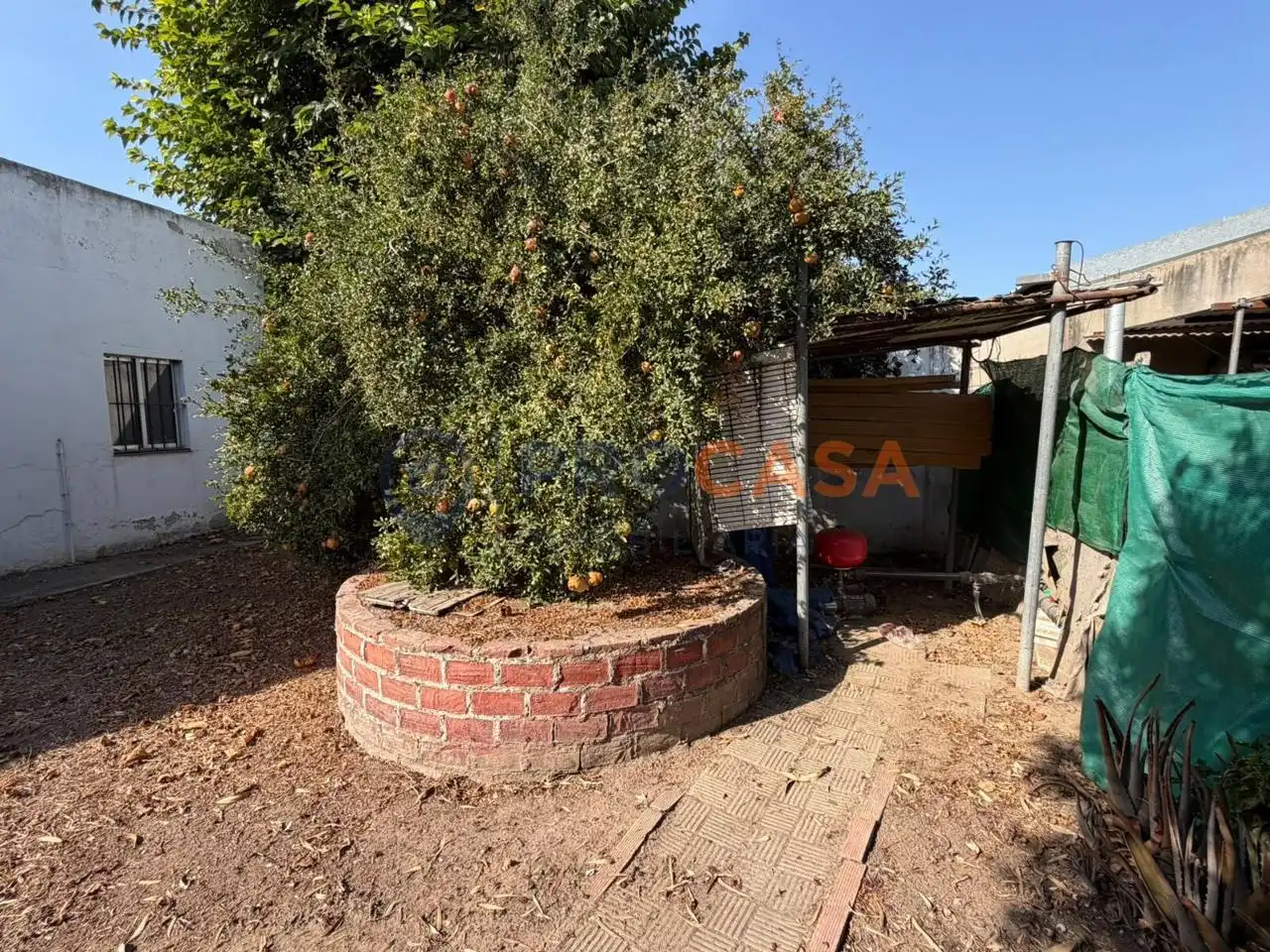 Maison rustique à vendre à La Romana, imagen 12