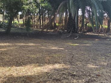 Grundstücke und Bauplätze zum Verkauf in Chipiona Norte