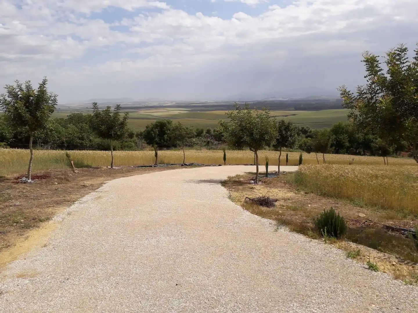 House for sale in Bornos, imagen 13