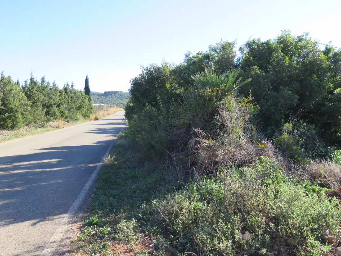 Rural land for sale in Godall, imagen 3