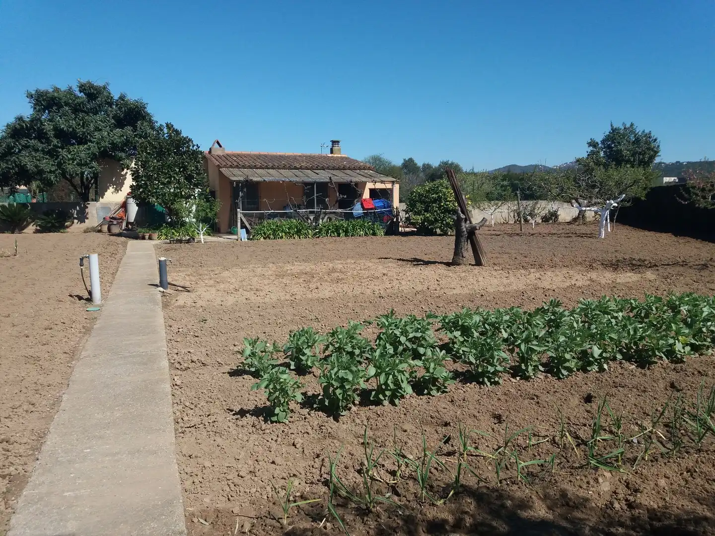 Garten von Grundstücke zum Verkauf in Palafrugell