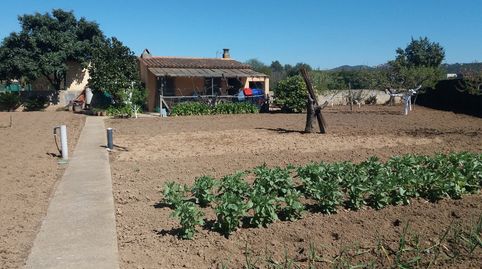 Foto 2 von Grundstücke zum Verkauf in La Punxa, Palafrugell