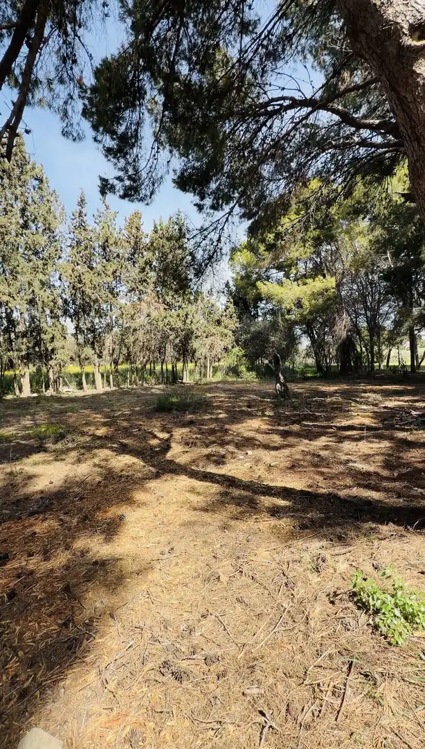 Finca rústica en venda en Alicante / Alacant amb Terrassa i Piscina