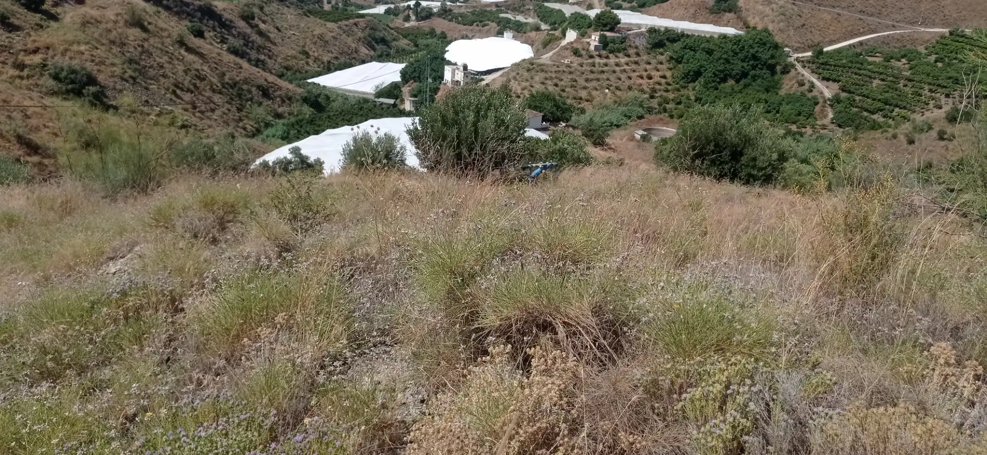 Terreny en venda en Vélez-Málaga