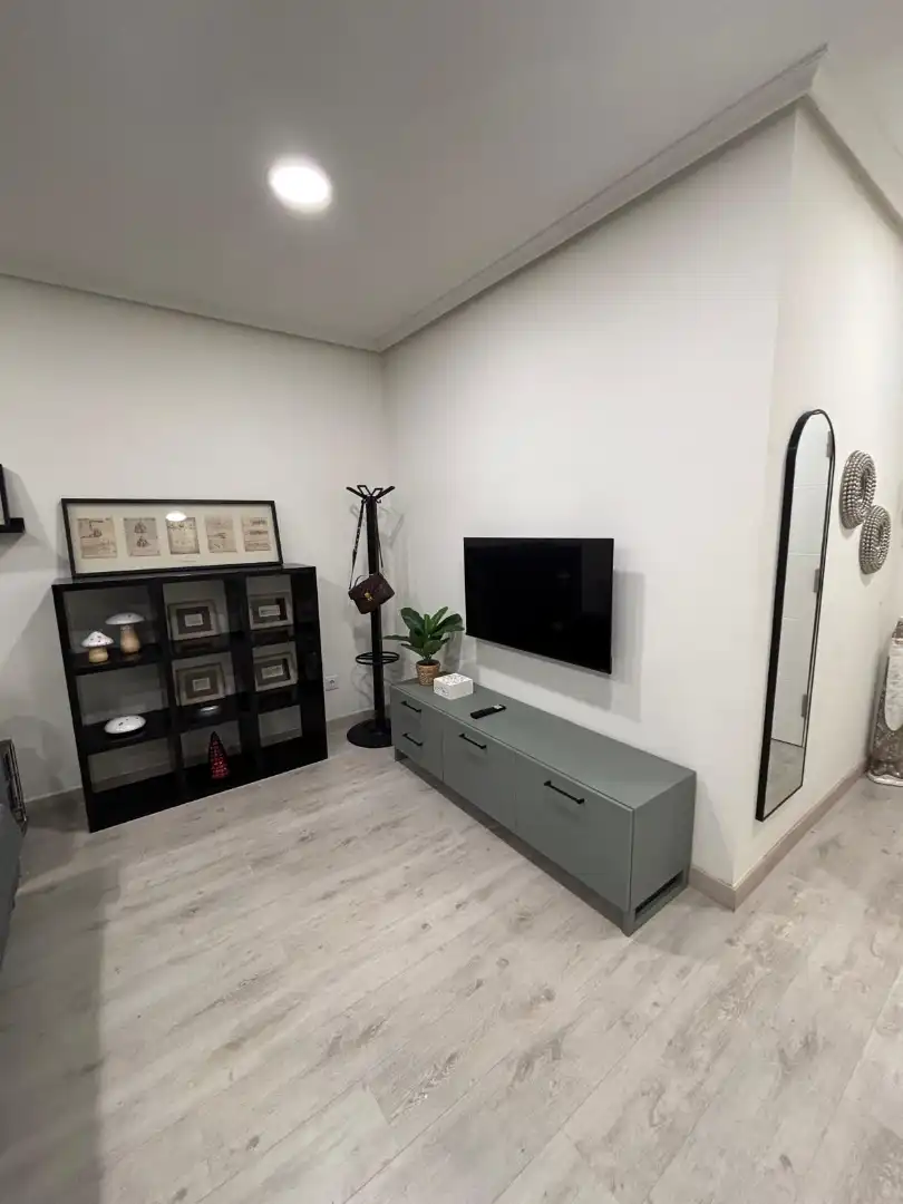 Sala de estar de Apartamento de alquiler en Oviedo  con Calefacción, Parquet y Amueblado