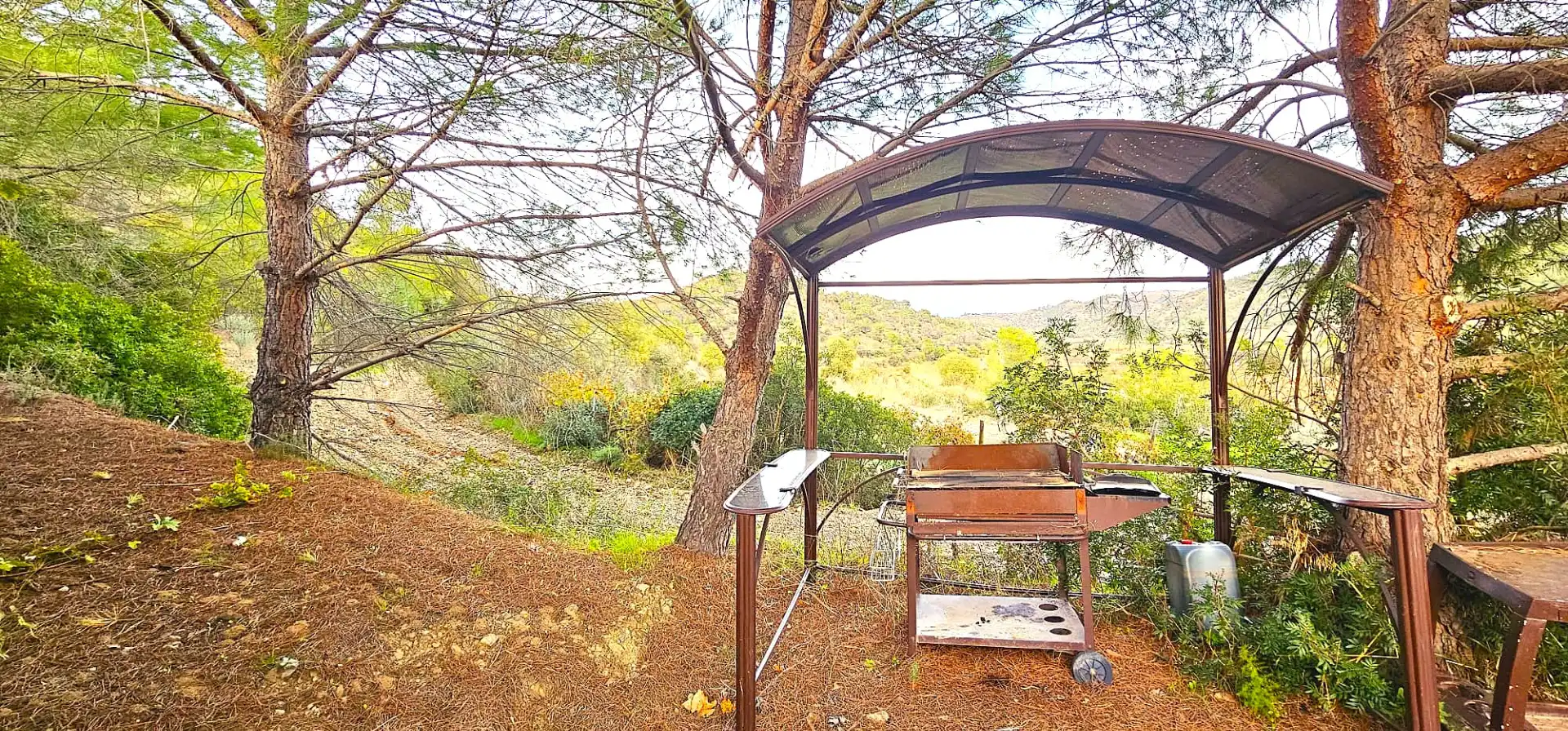 Rustikales Grundstück zum Verkauf in El Molar (Tarragona), imagen 2