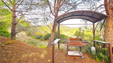 Foto 3 de Terreno en venta en El Molar (Tarragona), Tarragona