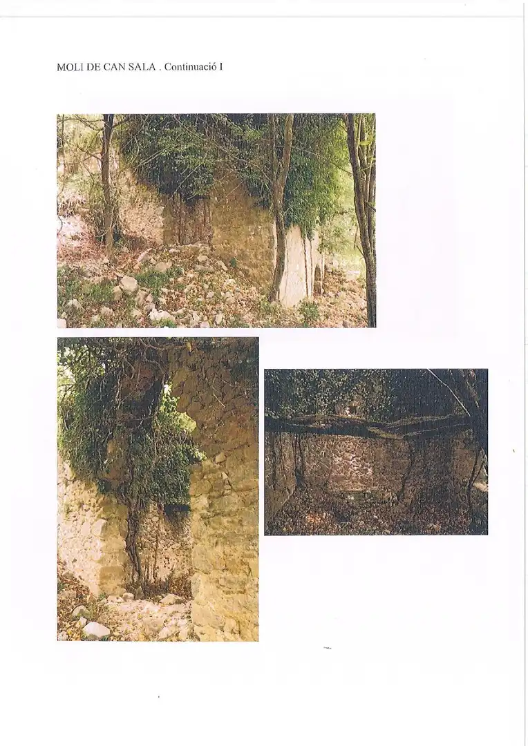 Vista exterior de Finca rústica en venta en Albanyà con Jardín privado, Terraza y Trastero