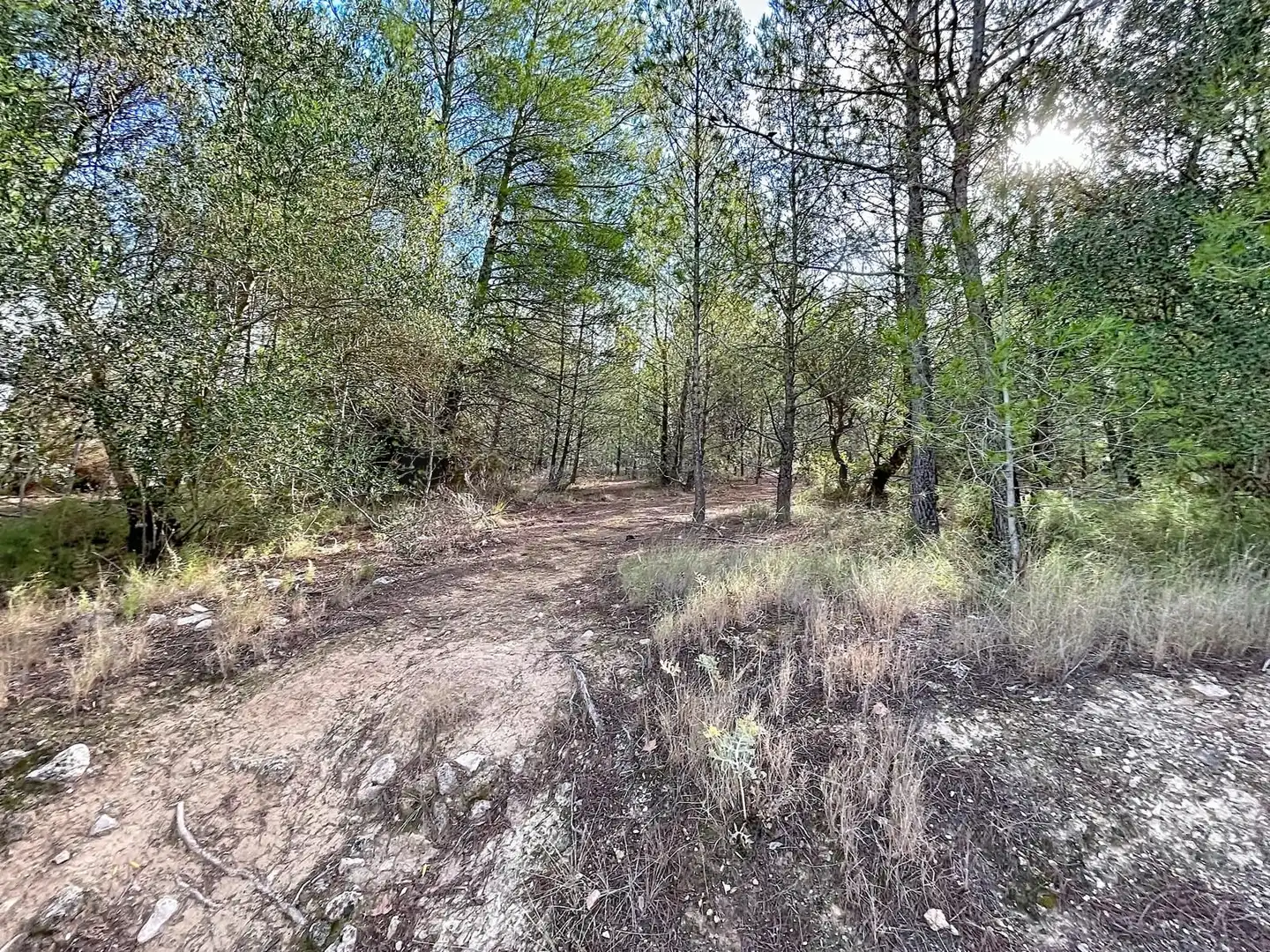 Wohnbaugrundstück zum Verkauf in Muro de Alcoy, imagen 4