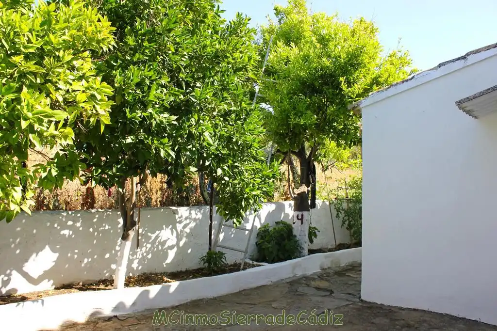 Casa o chalet en venta en de Cádiz, Algodonales