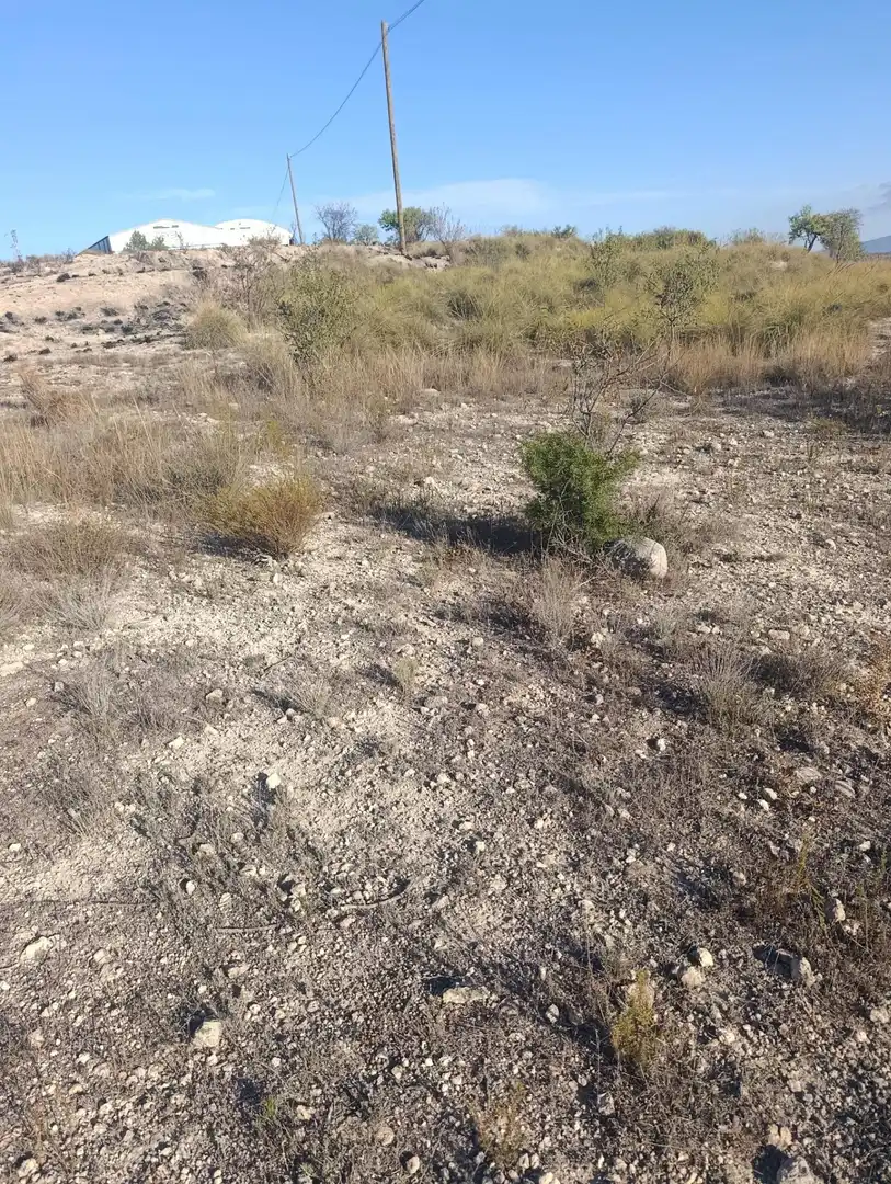 Industrial land for sale in Bullas, Murcia