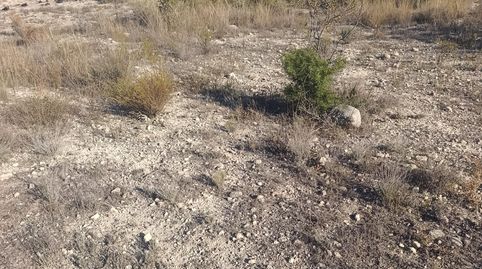 Photo 5 of Industrial land for sale in Bullas, Murcia