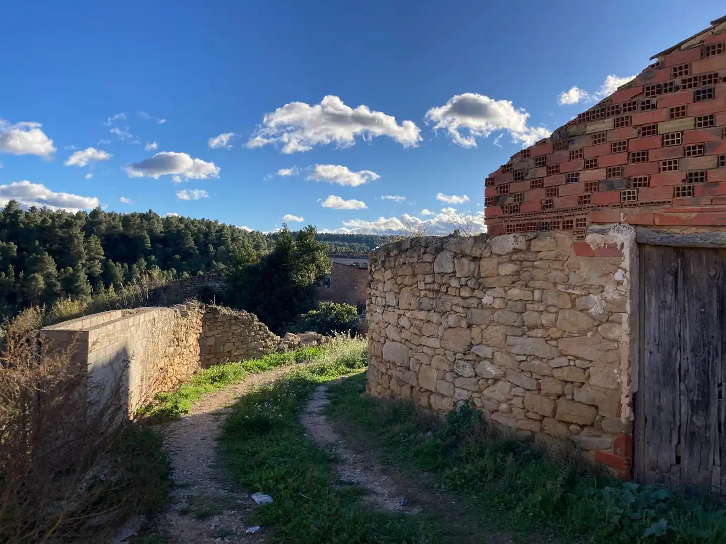 Terreni e lotti in vendita a Valjunquera, imagen 3