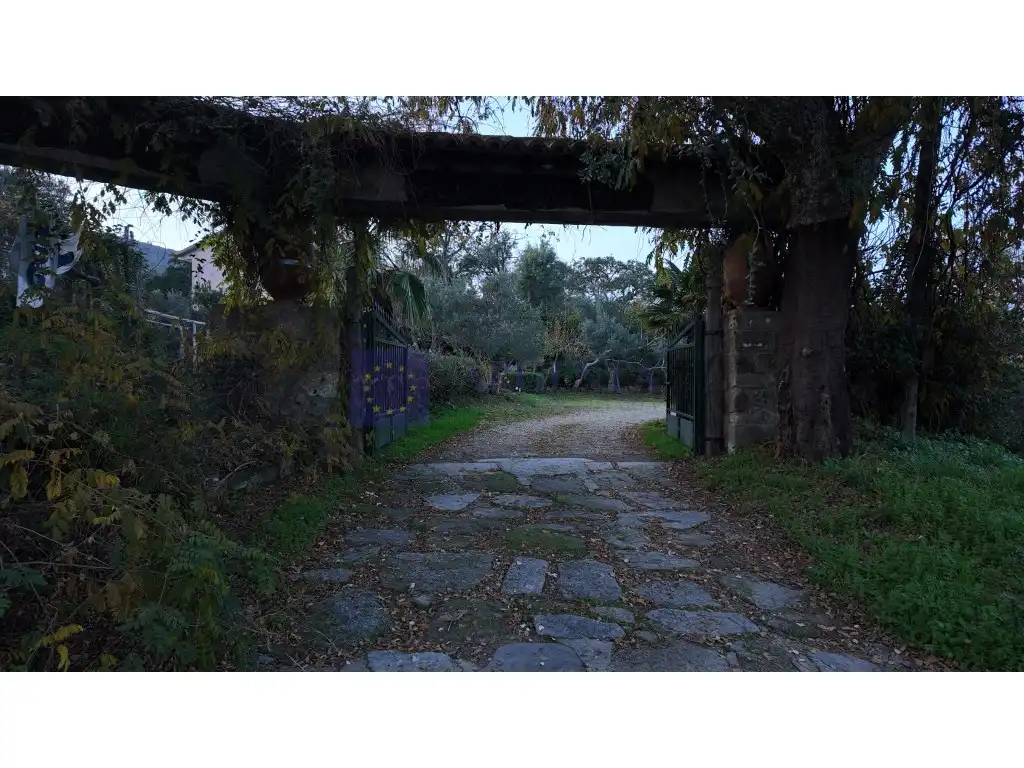 Chalet en venta en Diseminados Finca El Tollero, imagen 6