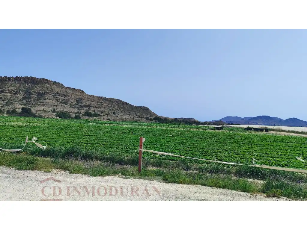 Terreno rustico in vendita a Carrer Ibi, imagen 4