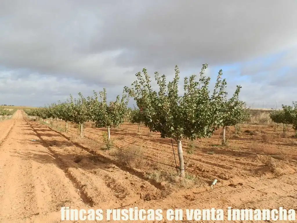 Terreni e lotti in vendita a Las Mesas, imagen 11