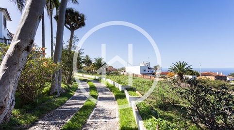 Foto 2 de Casa o chalet en venta en Tacoronte - Los Naranjeros, Tacoronte