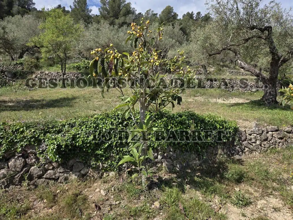 Country homes for sale in Tortosa  with Private garden and Terrace