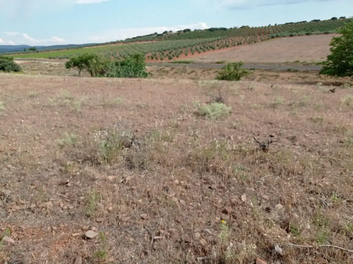 Finca rústica en venda en Cózar