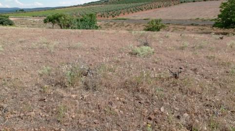 Photo 4 of Country house for sale in Cózar, Ciudad Real