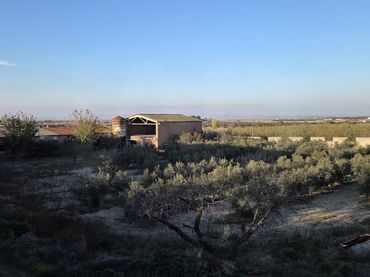 Terreni e lotti in vendita a Vilagrassa