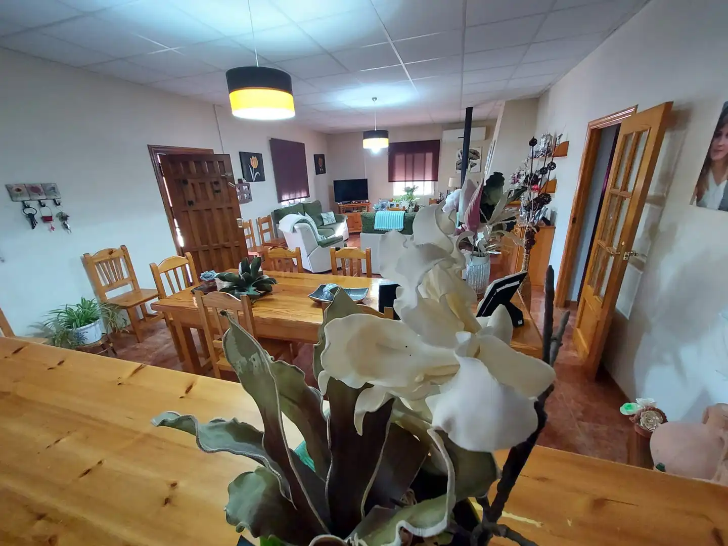 Comedor de Finca rústica en venta en Calasparra con Jardín privado y Piscina