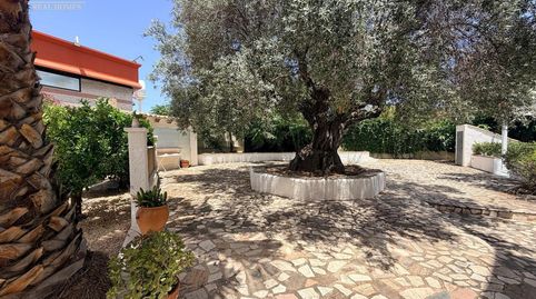Photo 2 of Flat for rent in Del Albir, L'Albir, L'Alfàs del Pi