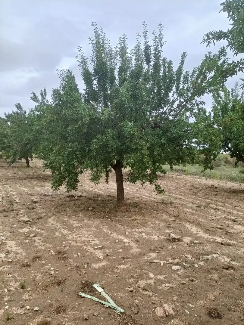 Terreno rustico in vendita a Nambroca, imagen 8