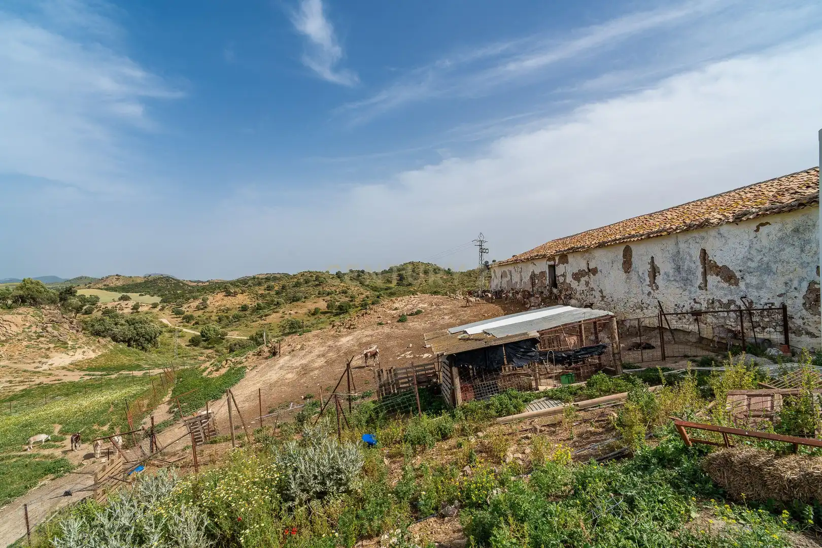 Casa in vendita a Olvera, Spain Polígono 24 Parcela 159 - La Mota, imagen 12