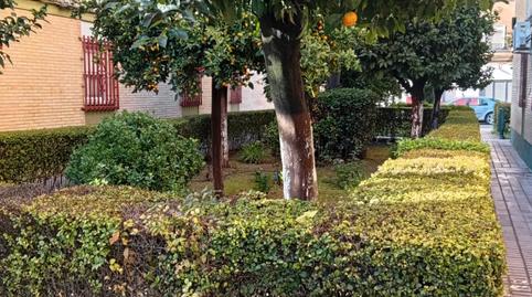 Photo 5 of Flat for sale in San Jerónimo - La Bachillera, Sevilla