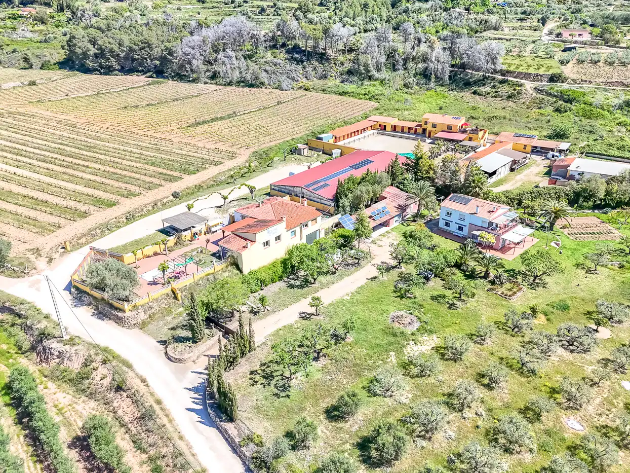 Rural land for sale in Bonastre, imagen 113