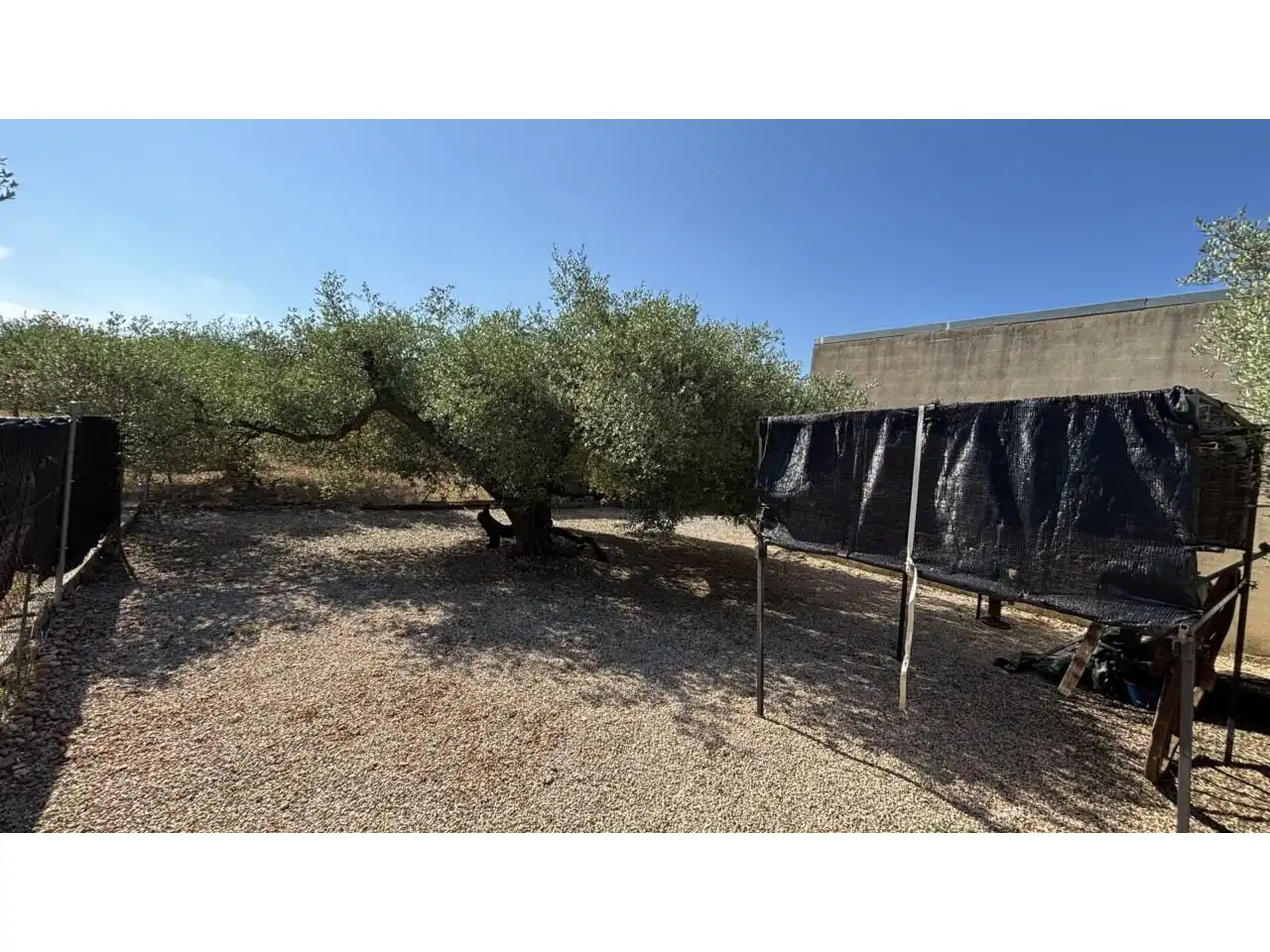 Rural land for sale in Canet lo Roig, imagen 7