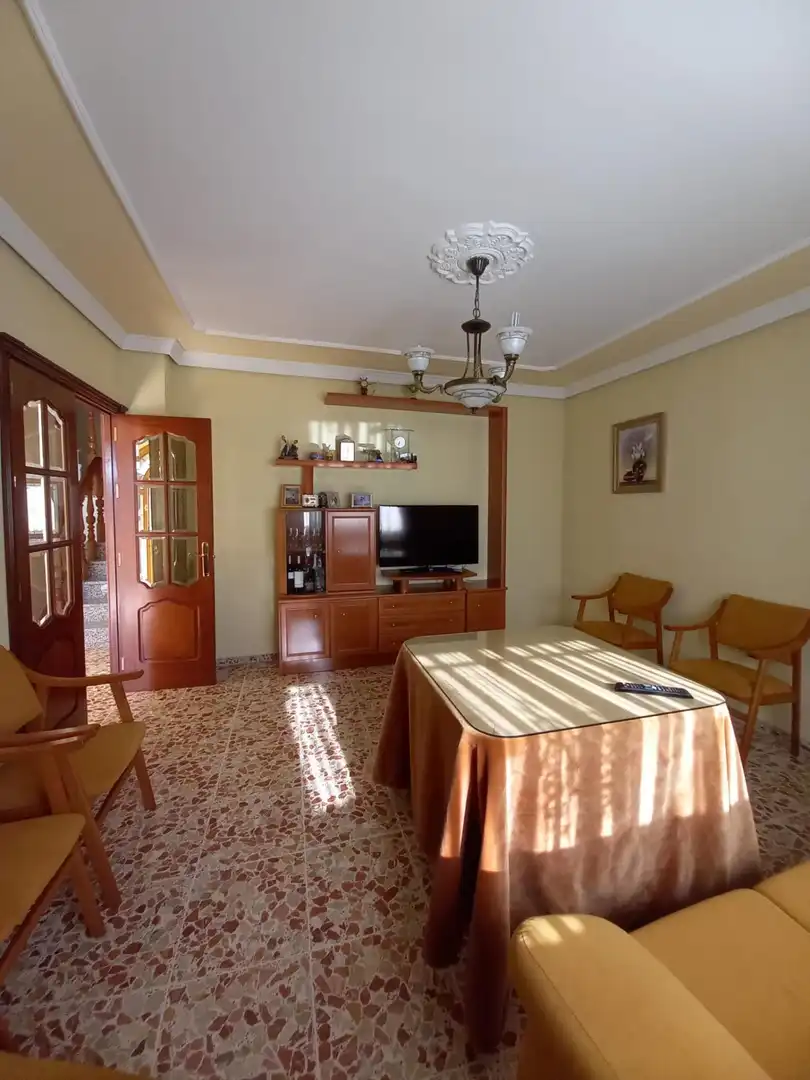 Sala d'estar de Casa o xalet en venda en Córdoba amb Jardí privat, Terrassa i Moblat