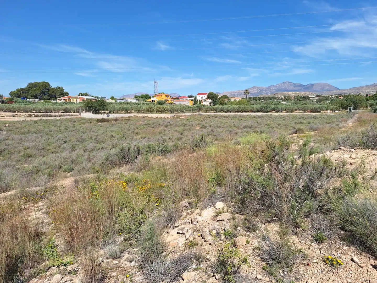 Rural land for sale in Los Girasoles, imagen 6