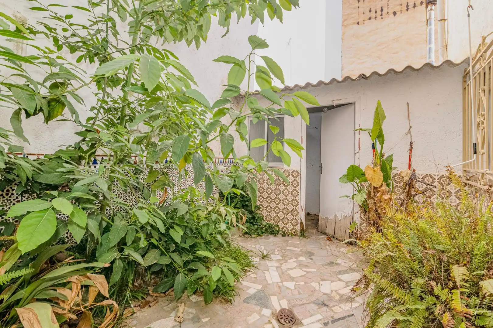 Vista exterior de Casa o chalet en venta en Granada con Terraza