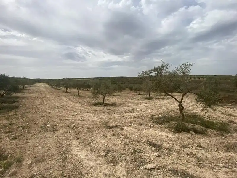 Casa rústica en venda a Padul, imagen 7