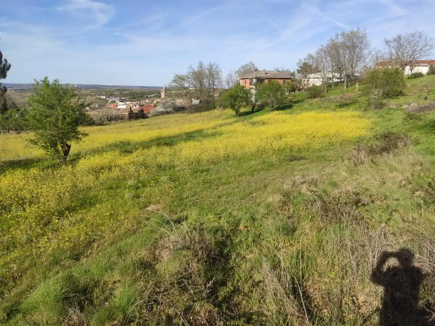Finca rústica en venda en Aldeadávila de la Ribera amb Jardí privat, Traster i Moblat