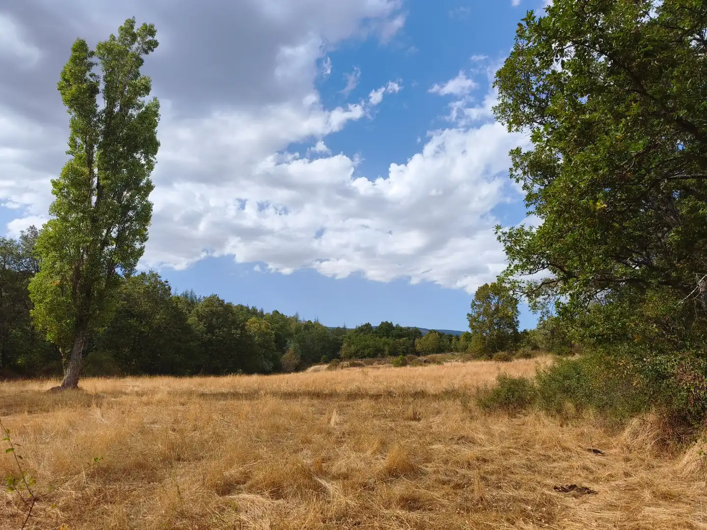 Terreno en venta en Piñuécar-Gandullas