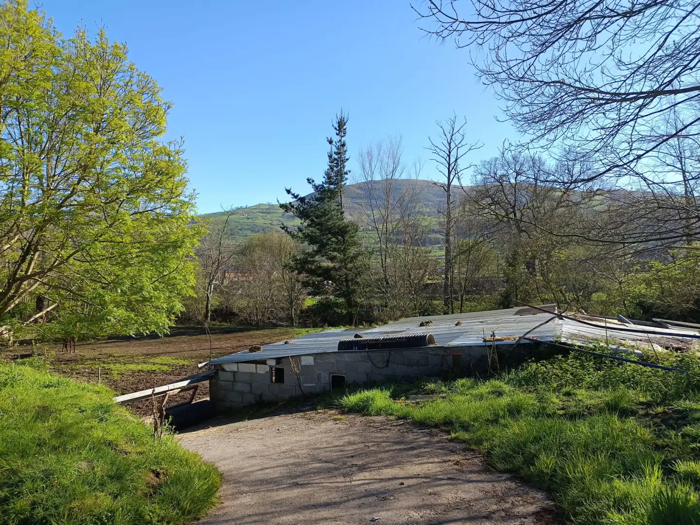 Terreni e lotti in vendita a Selaya - LA MIES, imagen 5