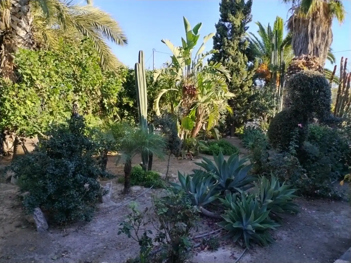 Maison avec jardin à vendre à Puerto Lumbreras, imagen 3