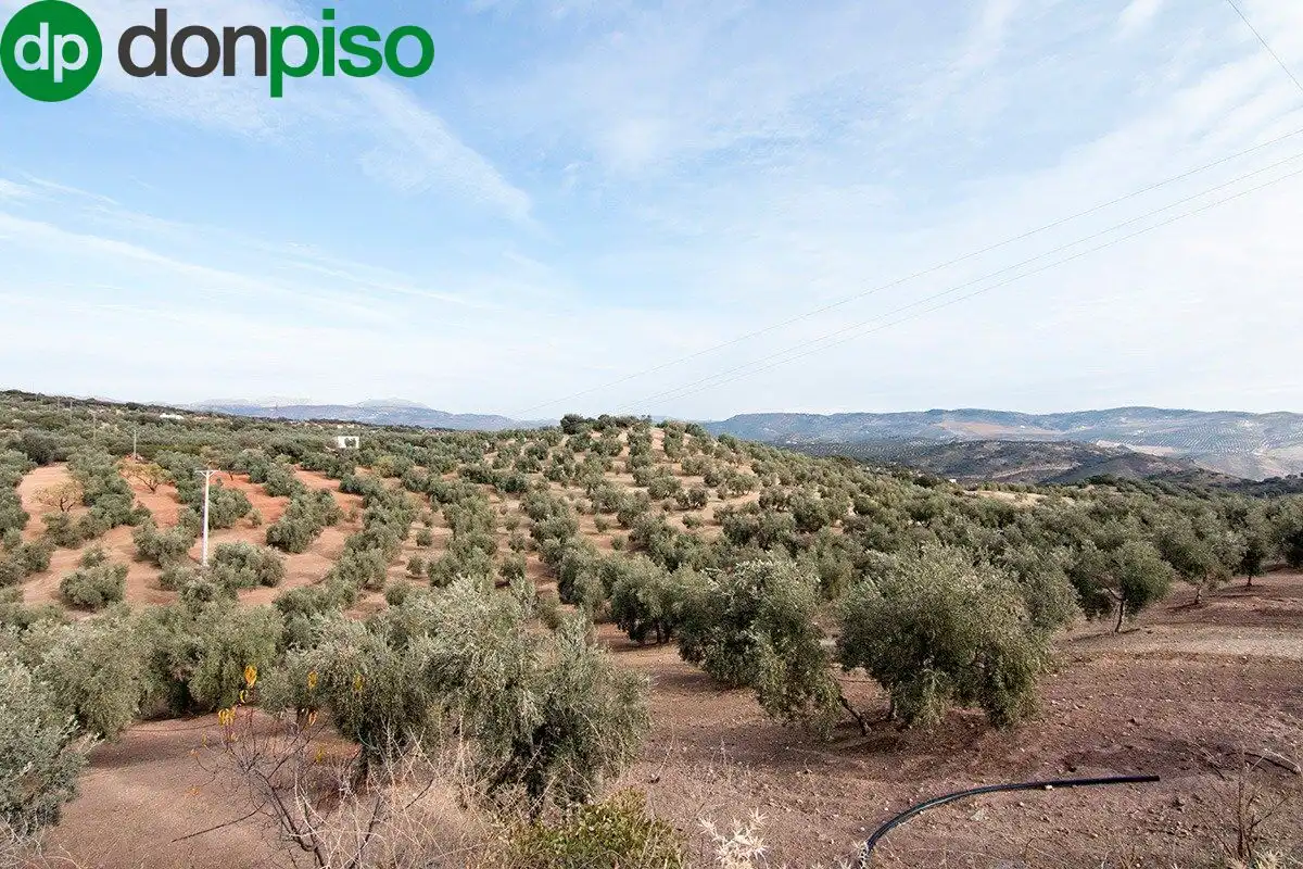 Casa rústica en venda a CORTIJO LA BARRAGANA, imagen 28