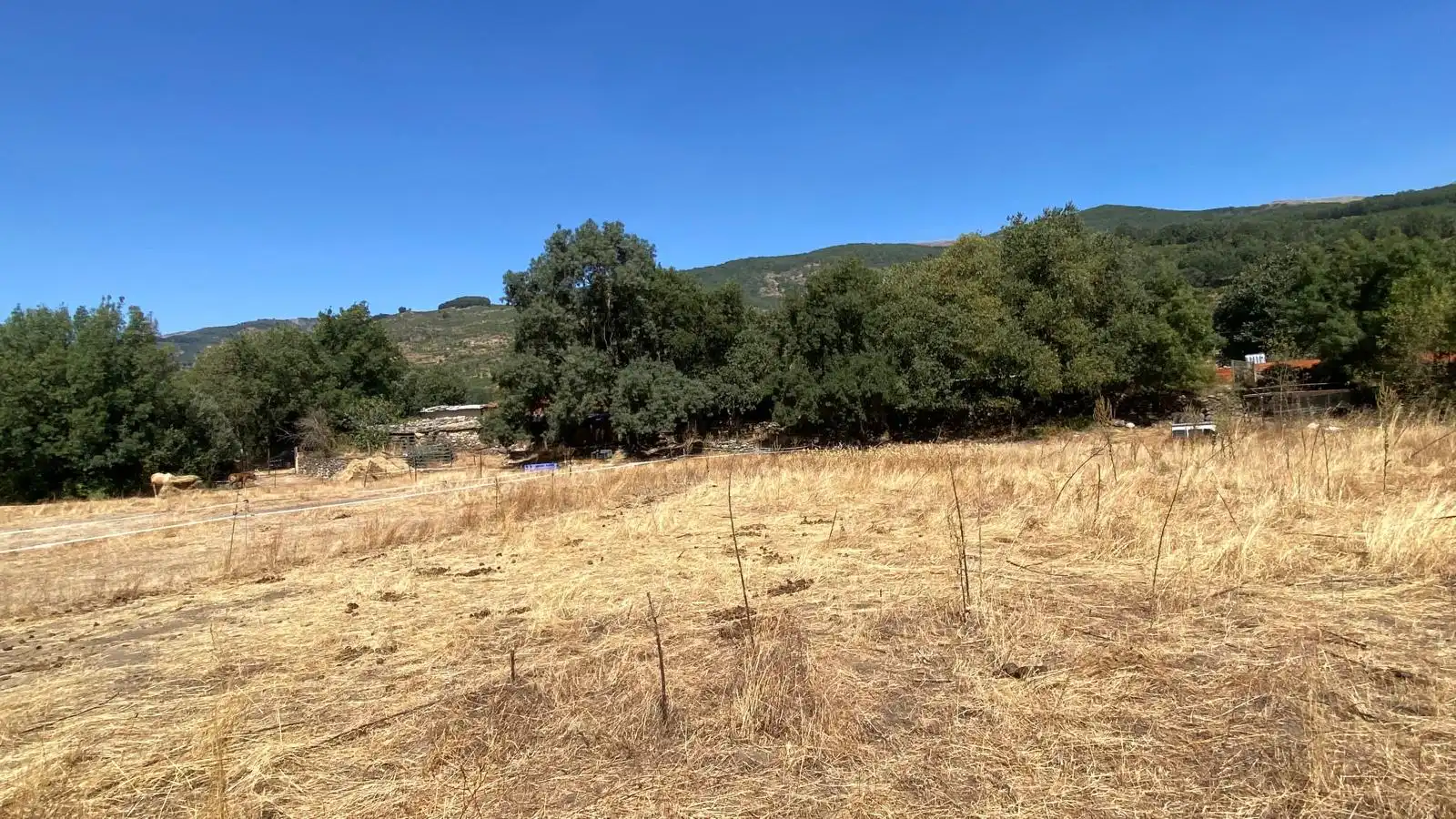 Rural land for sale in Calle el Roble 4, imagen 10