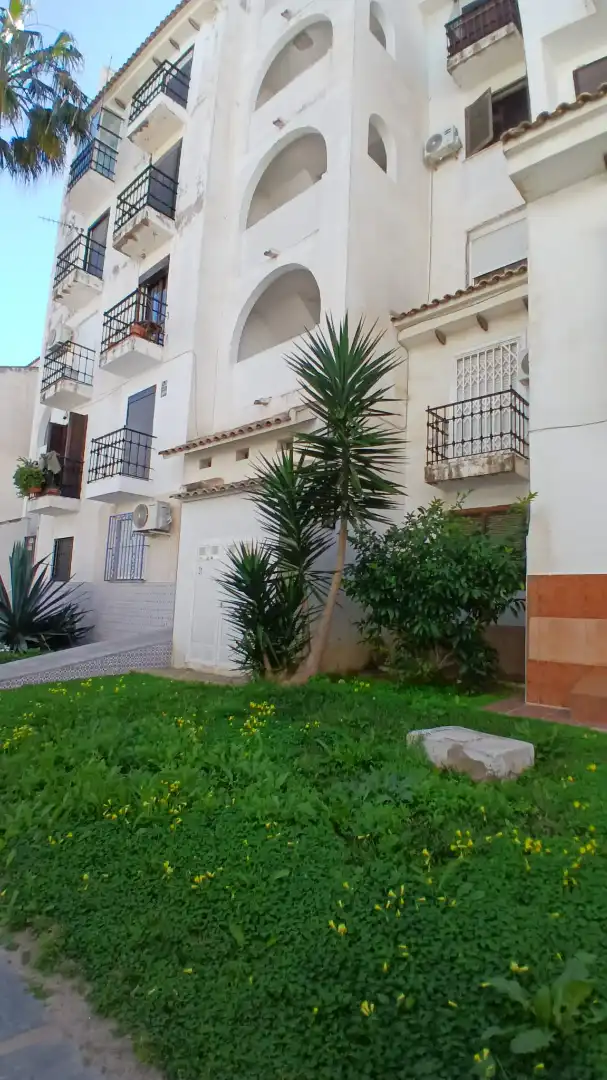 Vista exterior de Piso en venta en Torrevieja con Amueblado y Piscina comunitaria