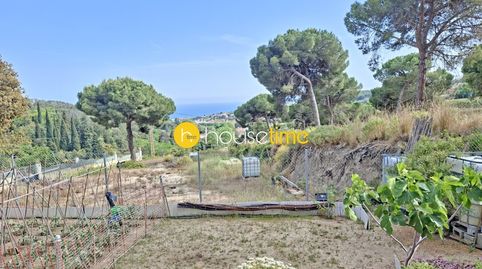 Terreno urbano con vistas mar orientado a sur, immagine 3