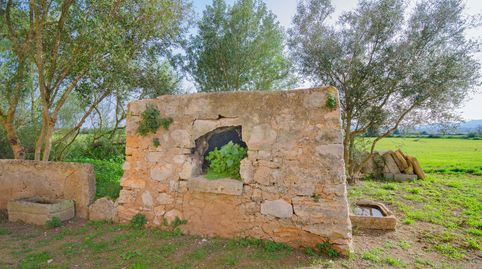 Terreno de 30.000 m2, casa para reformar y proyecto, imatge 5