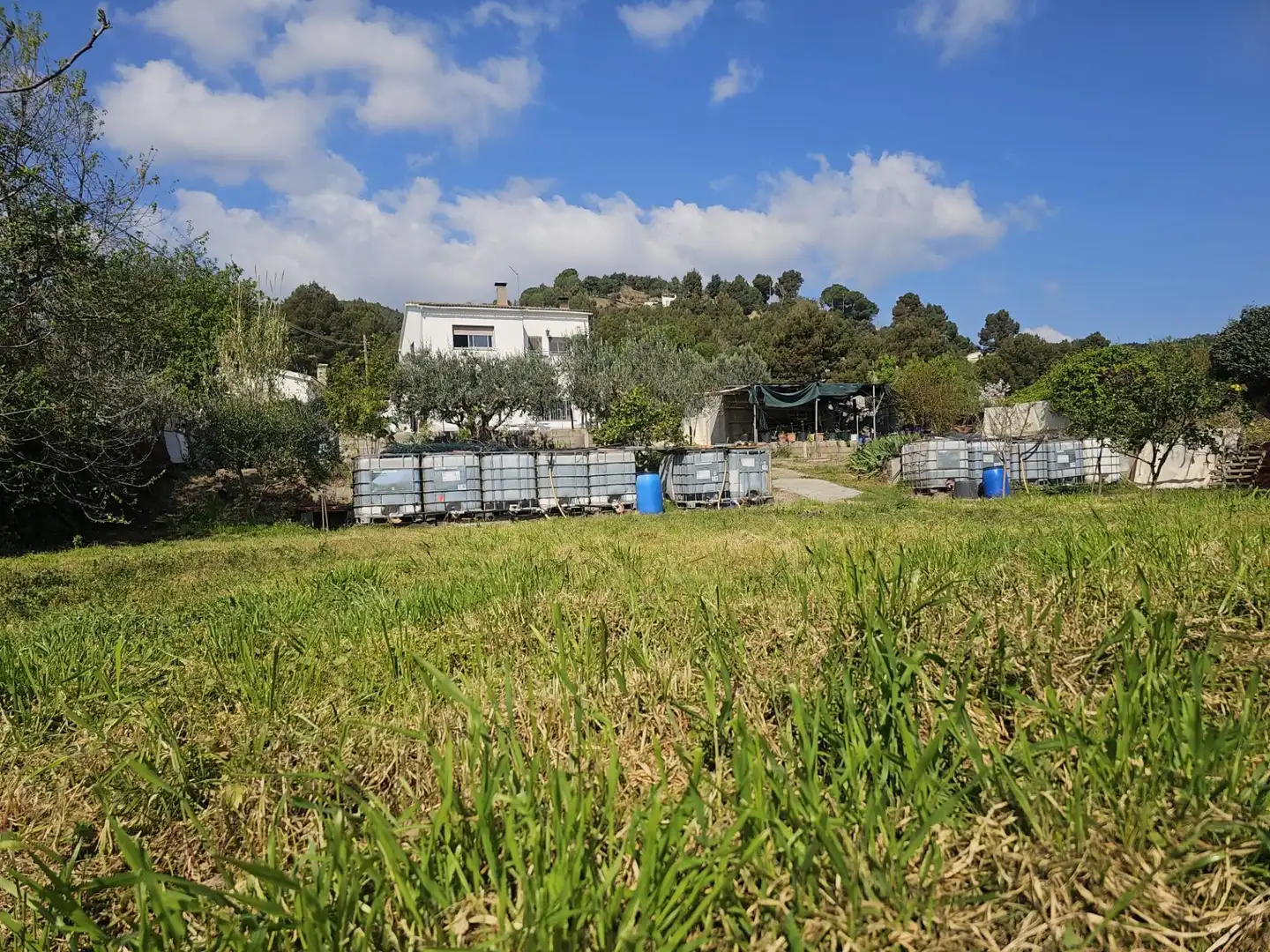 Vista exterior de Casa o chalet en venta en Esparreguera con Jardín privado, Terraza y Piscina