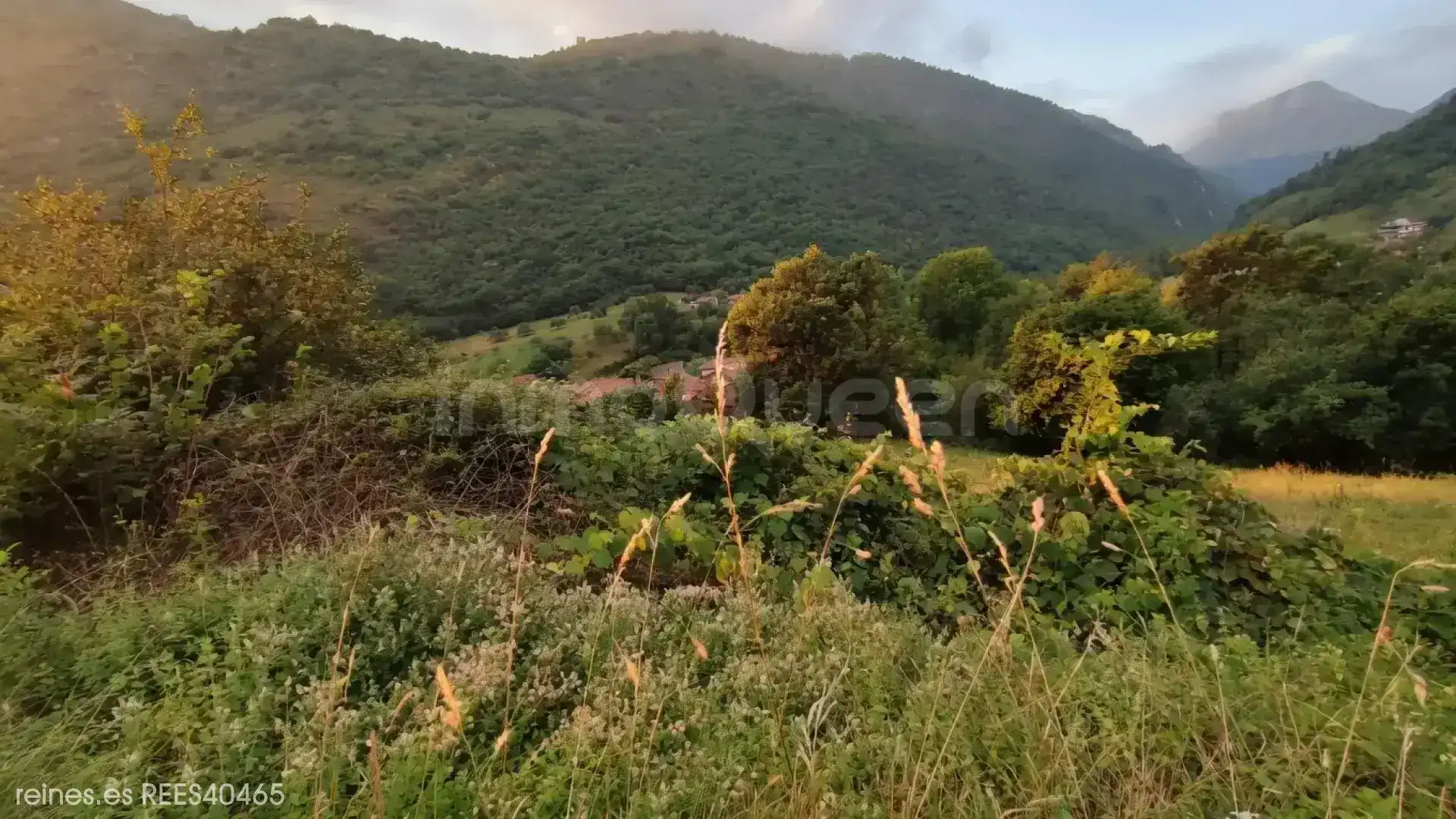 Lands and plots for sale in N/A