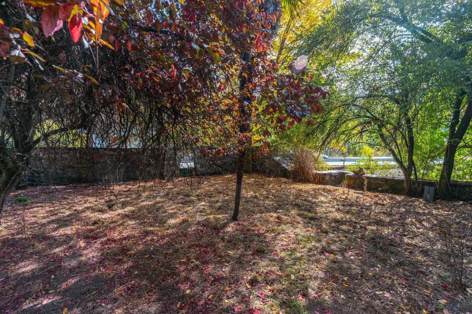 Jardín de Casa o chalet en venta en Palacios del Sil con Jardín privado